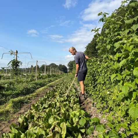 Schevichoven Groeit - Dagcursus regeneratieve landbouw - fruitteler